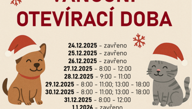 Ordinační hodiny Vánoce 2025