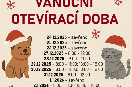 Ordinační hodiny Vánoce 2025